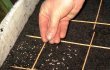 Инструменты для посева мелкосеменных культур